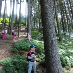 phoca_thumb_m_vp- 4. den  65 Fotogalerie